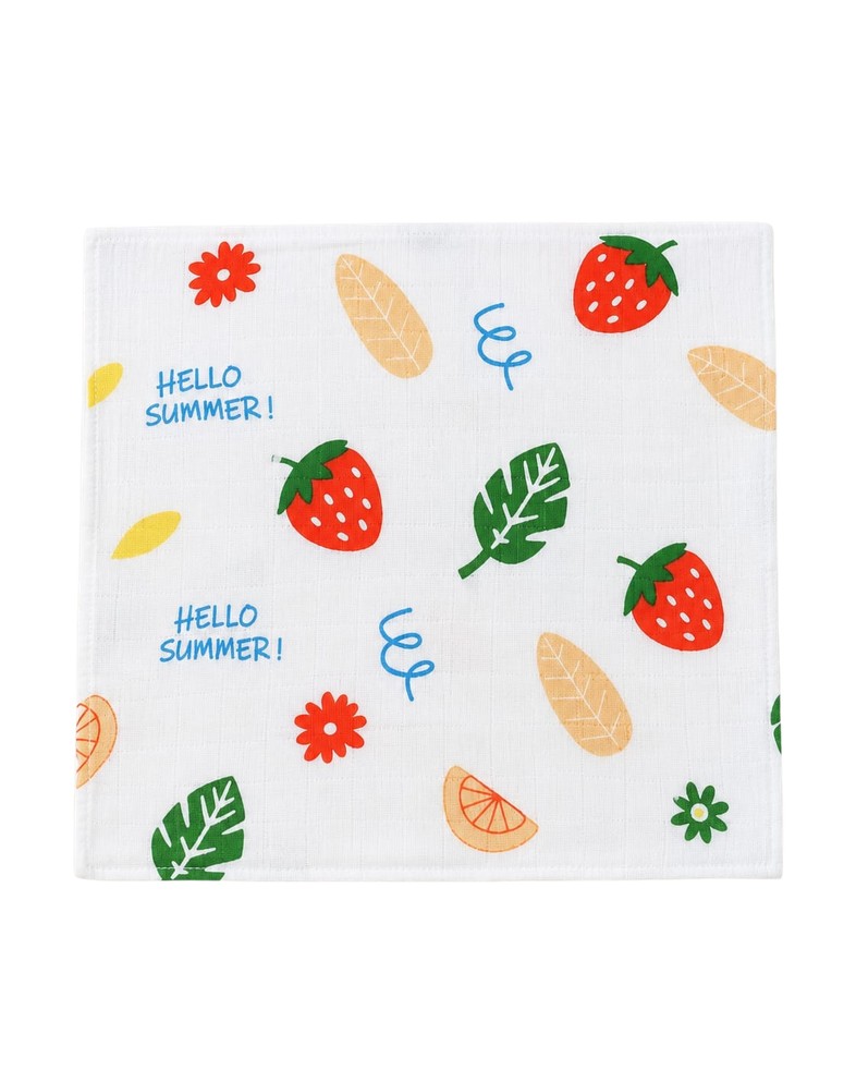 Baby Wipes Print Cloth (23x23)